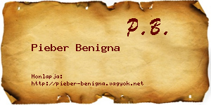 Pieber Benigna névjegykártya
